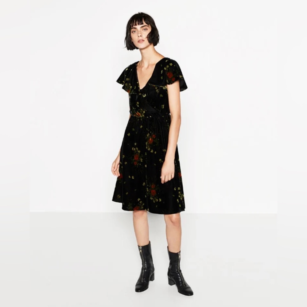Zara Printed Velvet Dress